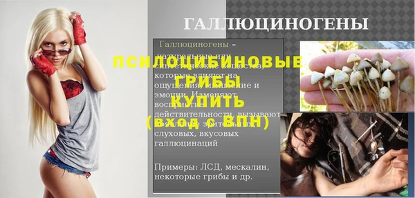 a pvp Инта
