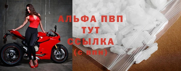 МДПВ Каменногорск