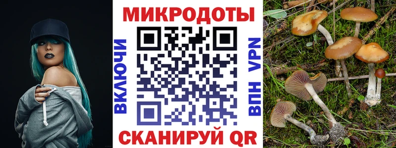 Купить закладки  Кадников  Галлюциногенные грибы Magic Shrooms 
